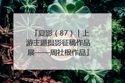 夏影（87）｜上游主题摄影征稿作品展——周社根作品