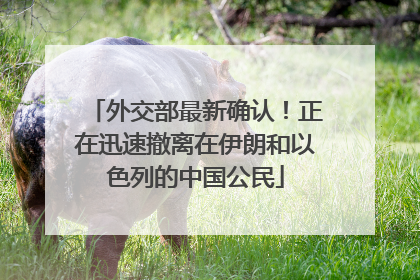 外交部最新确认！正在迅速撤离在伊朗和以色列的中国公民