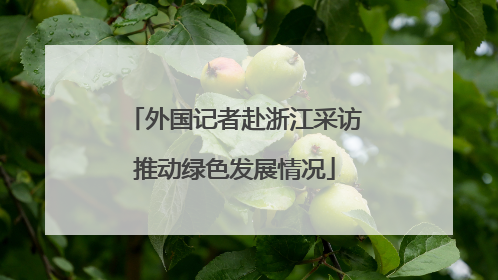 外国记者赴浙江采访推动绿色发展情况