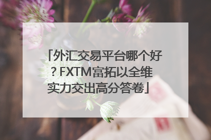 外汇交易平台哪个好？FXTM富拓以全维实力交出高分答卷