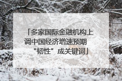 多家国际金融机构上调中国经济增速预期 “韧性”成关键词
