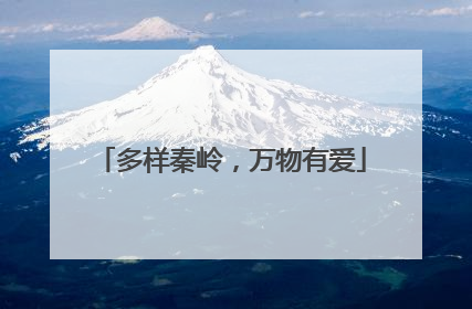 多样秦岭，万物有爱
