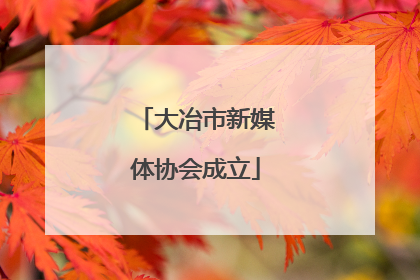 大冶市新媒体协会成立