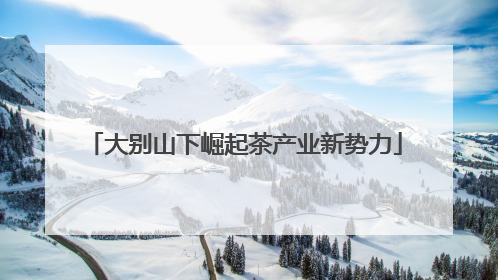 大别山下崛起茶产业新势力