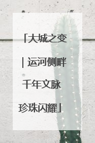 大城之变｜运河侧畔 千年文脉珍珠闪耀