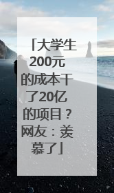 大学生200元的成本干了20亿的项目？网友：羡慕了