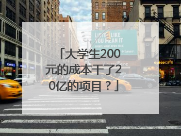 大学生200元的成本干了20亿的项目？