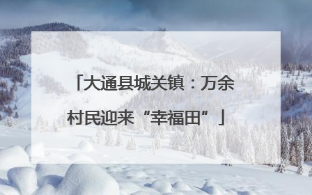 大通县城关镇：万余村民迎来“幸福田”