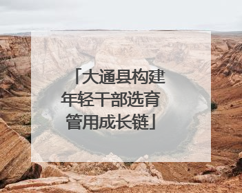 大通县构建年轻干部选育管用成长链