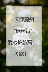 天津蓟州“绿丝带”爱心护航高考路