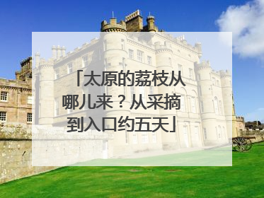 太原的荔枝从哪儿来？从采摘到入口约五天