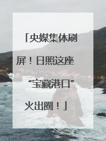 央媒集体刷屏！日照这座“宝藏港口”火出圈！