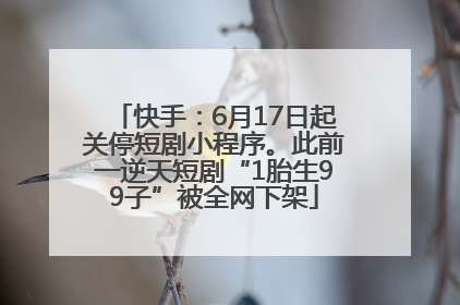 快手：6月17日起关停短剧小程序。此前一逆天短剧“1胎生99子”被全网下架