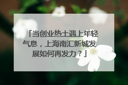 当创业热土遇上年轻气息，上海南汇新城发展如何再发力？