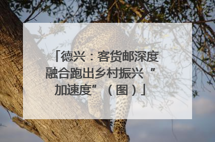 德兴：客货邮深度融合跑出乡村振兴“加速度”（图）