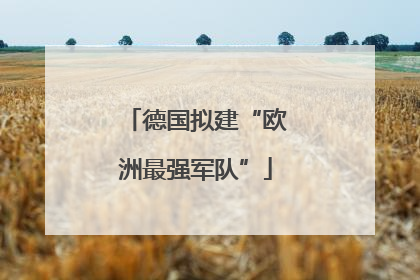 德国拟建“欧洲最强军队”
