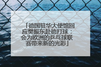 德国驻华大使馆回应樊振东赴德打球：会为欧洲的乒乓球联赛带来新的光彩