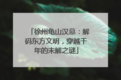 徐州龟山汉墓：解码东方文明，穿越千年的未解之谜