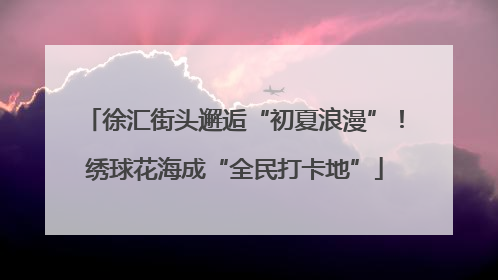 徐汇街头邂逅“初夏浪漫”！绣球花海成“全民打卡地”