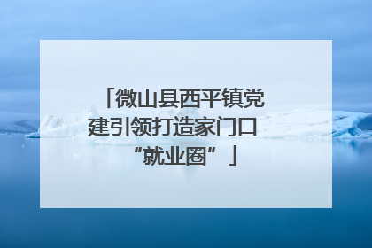 微山县西平镇党建引领打造家门口“就业圈”