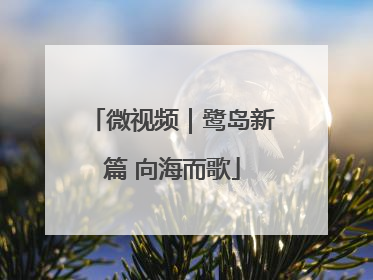 微视频｜鹭岛新篇 向海而歌
