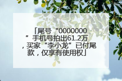 尾号“0000000”手机号拍出61.2万，买家“李小龙”已付尾款，仅享有使用权