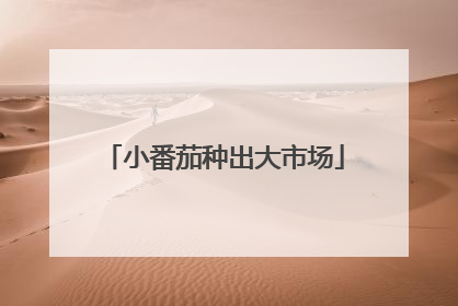 小番茄种出大市场