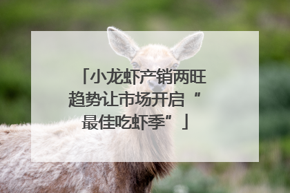 小龙虾产销两旺趋势让市场开启“最佳吃虾季”