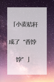 小麦秸秆成了“香饽饽”