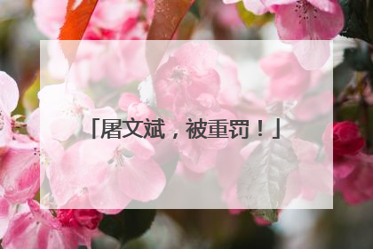 屠文斌，被重罚！