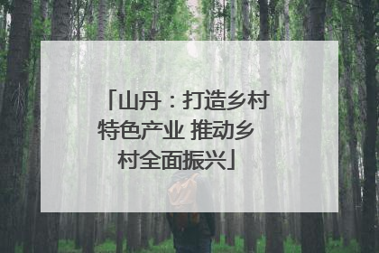 山丹：打造乡村特色产业 推动乡村全面振兴