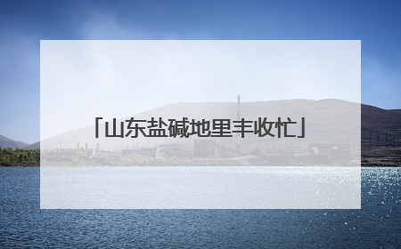 山东盐碱地里丰收忙