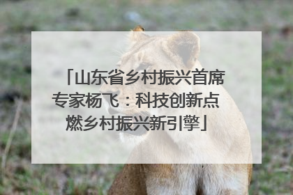 山东省乡村振兴首席专家杨飞：科技创新点燃乡村振兴新引擎