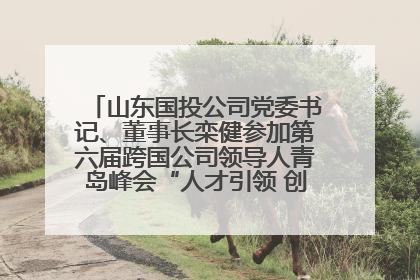 山东国投公司党委书记、董事长栾健参加第六届跨国公司领导人青岛峰会“人才引领 创新驱动”人力资源高质量发展对话会