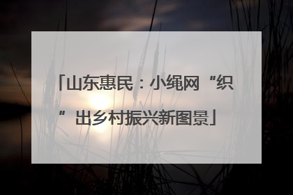山东惠民：小绳网“织”出乡村振兴新图景