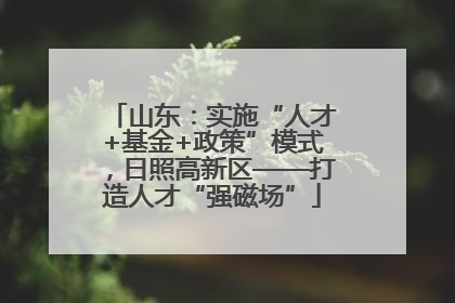山东：实施“人才+基金+政策”模式，日照高新区——打造人才“强磁场”