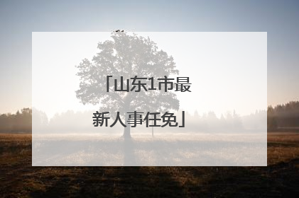 山东1市最新人事任免