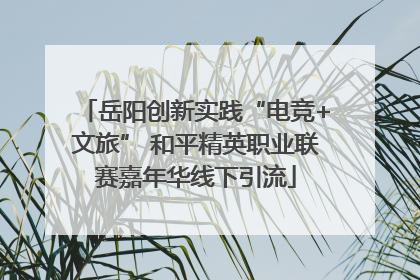 岳阳创新实践“电竞+文旅” 和平精英职业联赛嘉年华线下引流