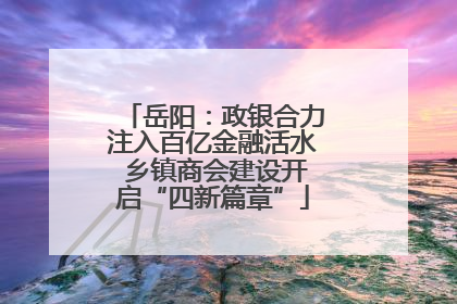 岳阳：政银合力注入百亿金融活水 乡镇商会建设开启“四新篇章”