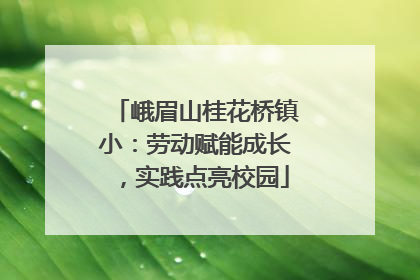 峨眉山桂花桥镇小：劳动赋能成长，实践点亮校园