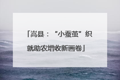 嵩县：“小蚕茧”织就助农增收新画卷