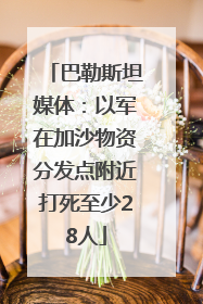 巴勒斯坦媒体：以军在加沙物资分发点附近打死至少28人