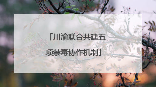 川渝联合共建五项禁毒协作机制