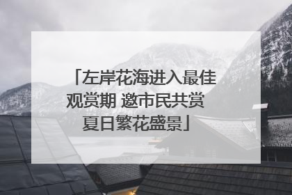 左岸花海进入最佳观赏期 邀市民共赏夏日繁花盛景