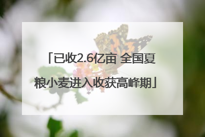 已收2.6亿亩 全国夏粮小麦进入收获高峰期