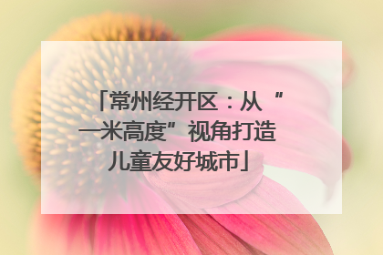 常州经开区：从“一米高度”视角打造儿童友好城市