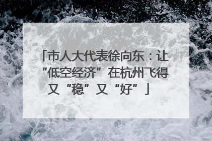 市人大代表徐向东：让“低空经济”在杭州飞得又“稳”又“好”