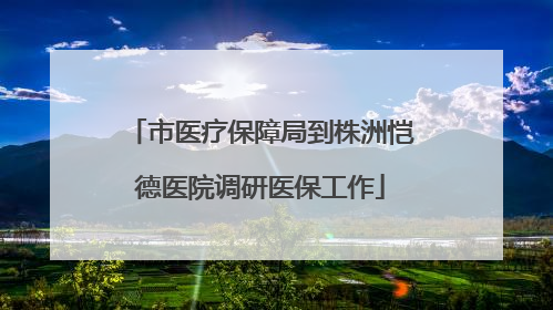 市医疗保障局到株洲恺德医院调研医保工作
