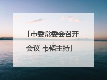 市委常委会召开会议 韦韬主持