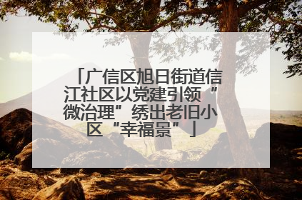 广信区旭日街道信江社区以党建引领“微治理”绣出老旧小区“幸福景”